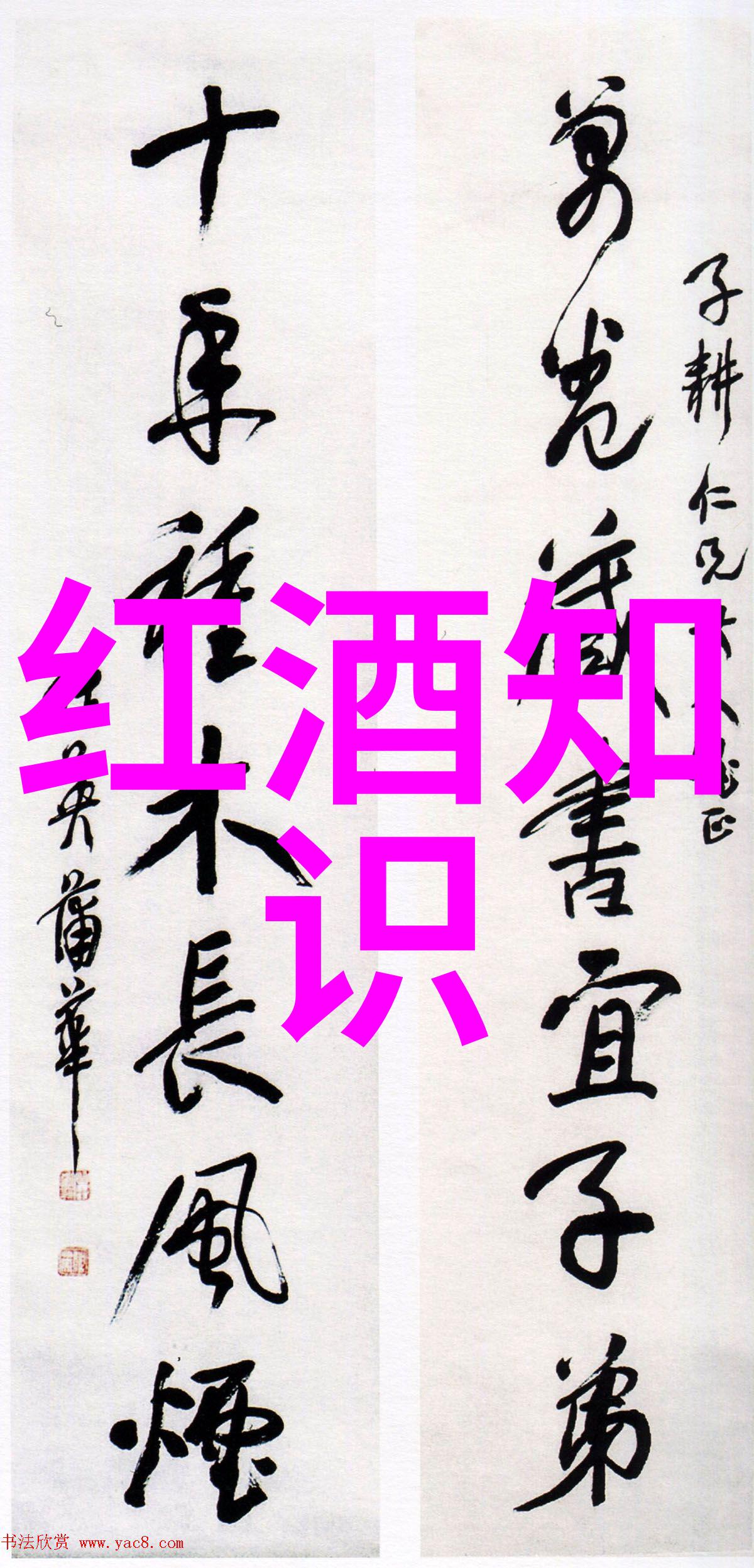 红酒酿造艺术从葡萄到瓶颈的精致过程