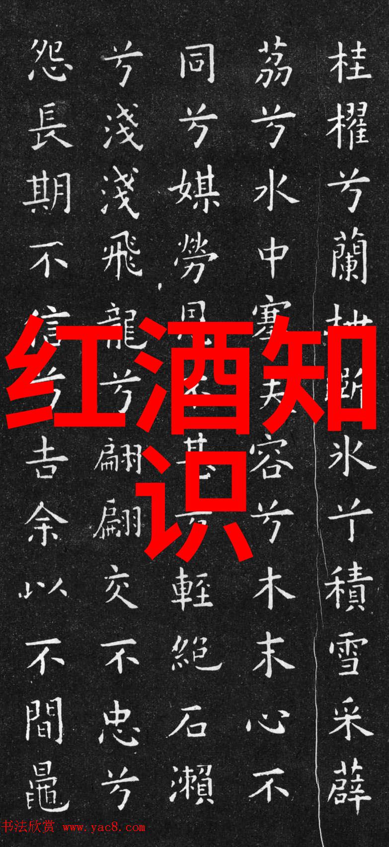 云酒窖帕斯奎尔酒庄的智慧孵化者