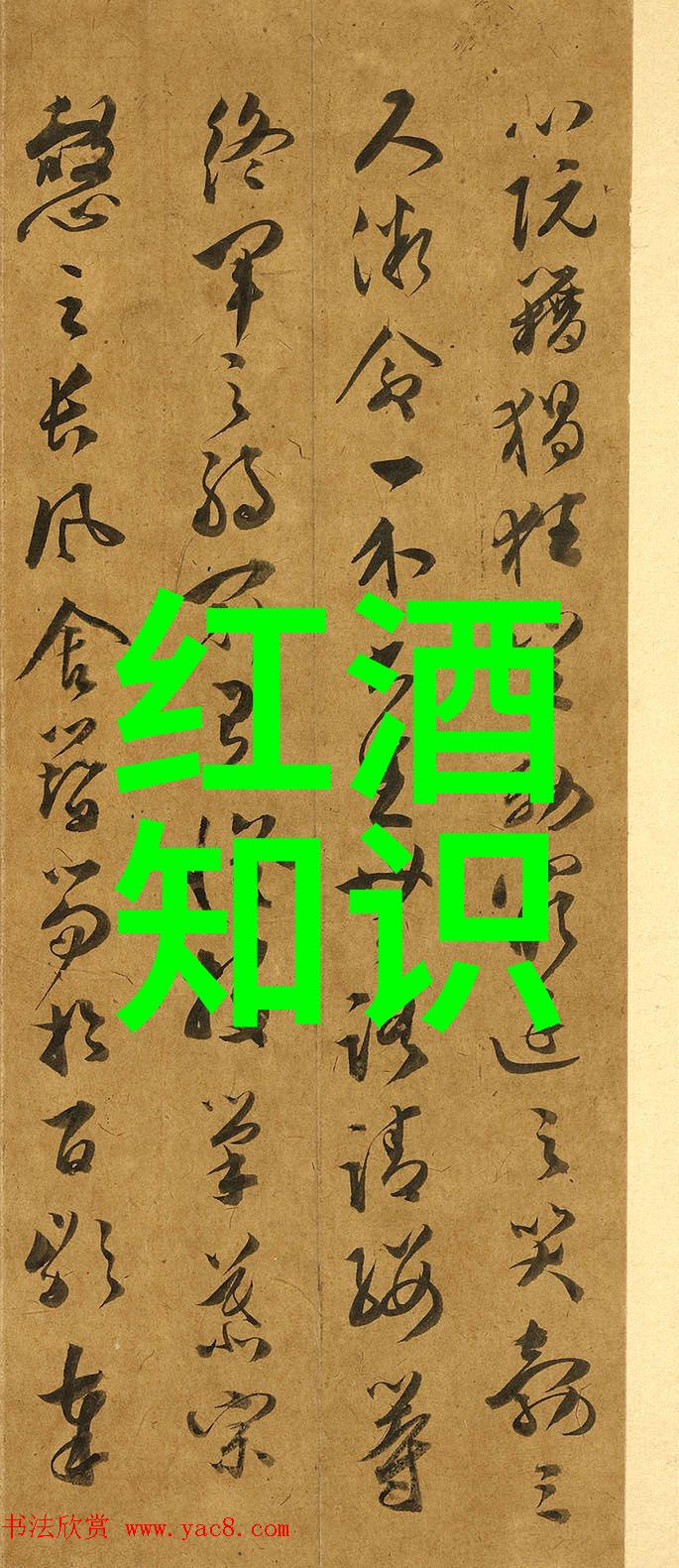 心海之珍收藏的最高境界探秘