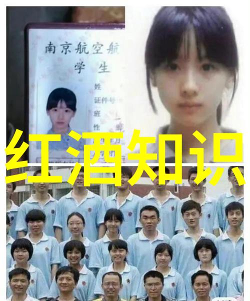 探索动漫艺术中的简约魅力简单动漫人物画的创作技巧与灵感来源