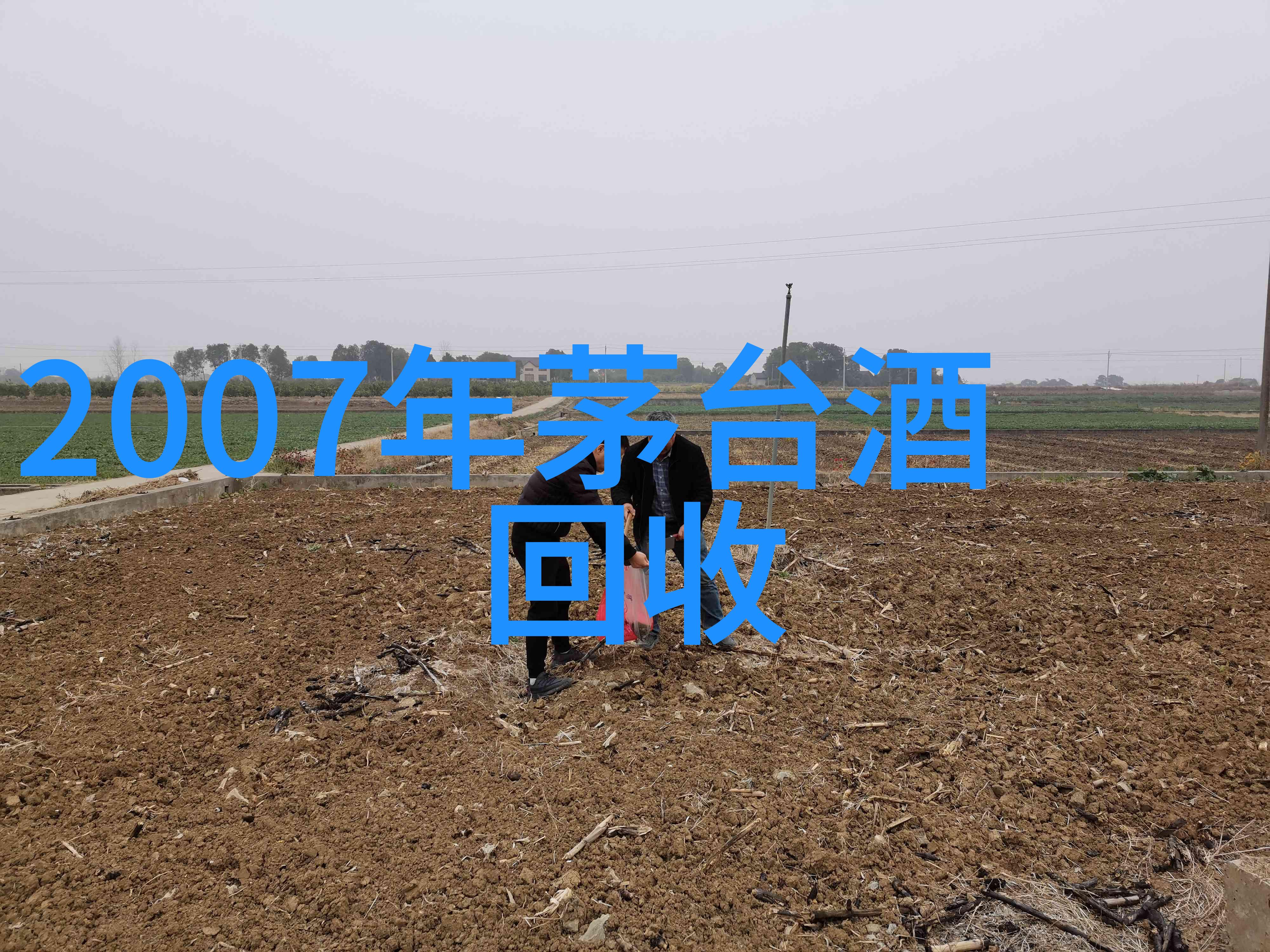 小学问答题小学生趣味问答题我是不是真的可以成为小明星