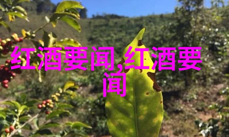 探秘92号汽油历史最低油价回顾燃油市场的波动与调整