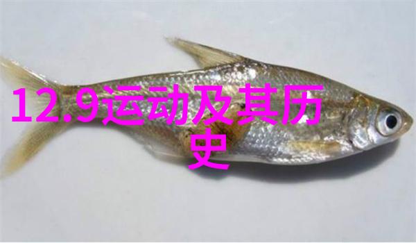 在上海周边哪里可以爬山探索美酒与火腿共舞的秘密如何为不同类型的火腿搭配葡萄酒