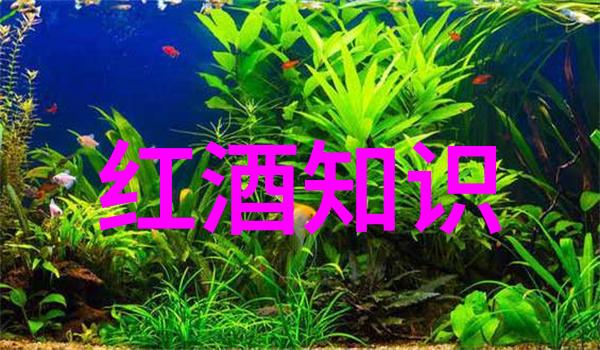 时光回放古老影像的沉浮