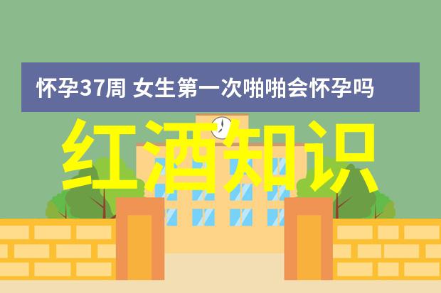学术探索收藏类杂志的选择与应用