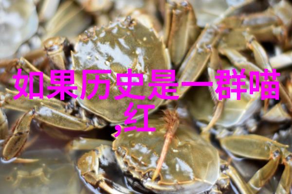 醉心美国葡萄酒从酿造到品鉴的笑中学