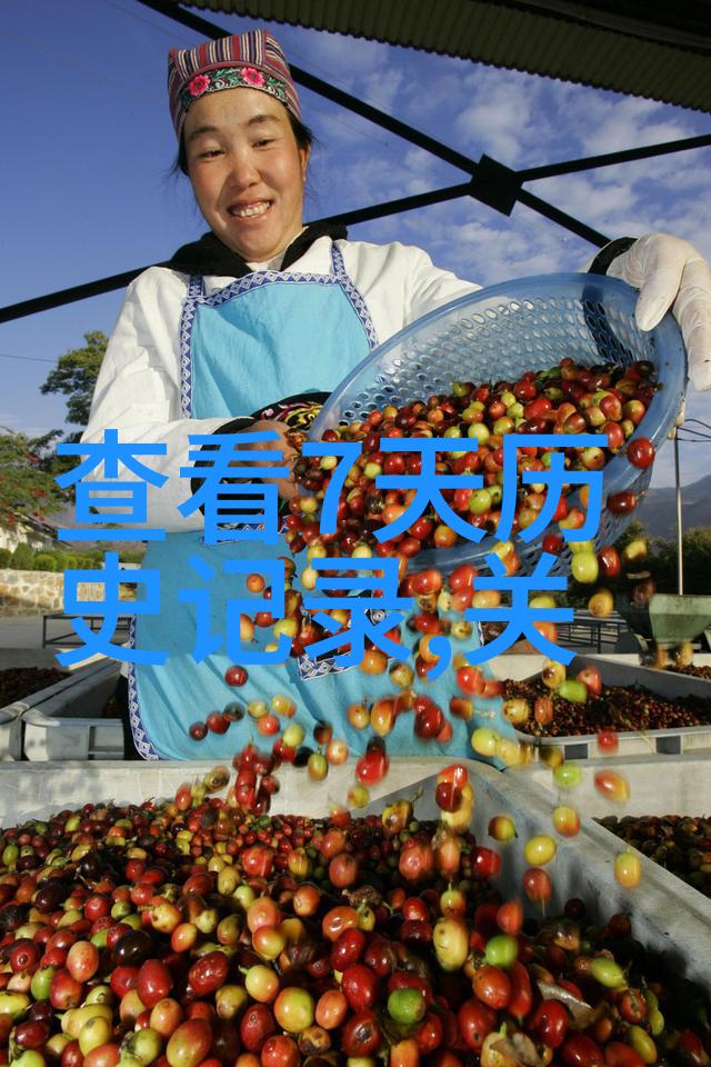 暗夜蔷薇魅txt下载我和那片神秘的蔷薇花园
