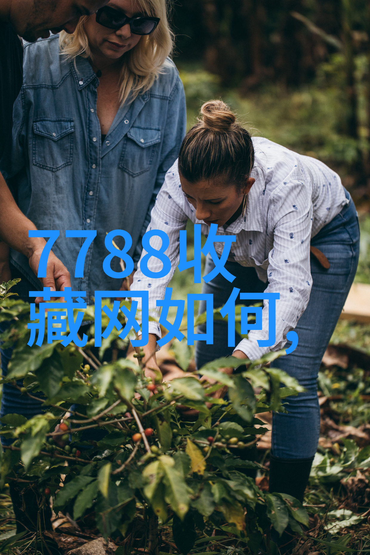 百度搜索引擎的知识库解锁网上的无尽宝藏