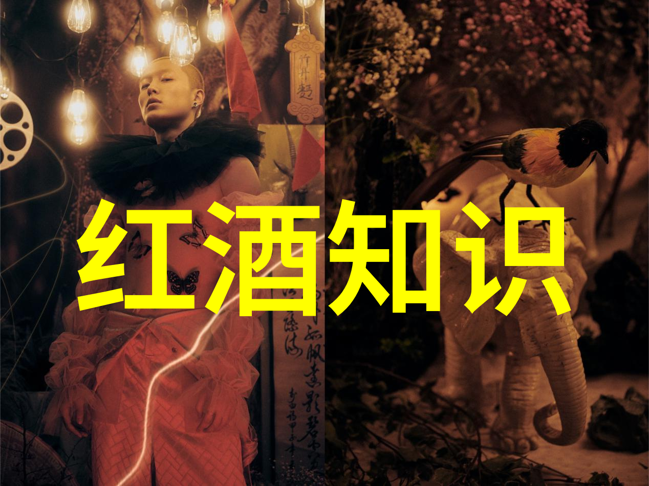 难道不是FBI突查的海湖庄园才是真正的希望酒庄吗