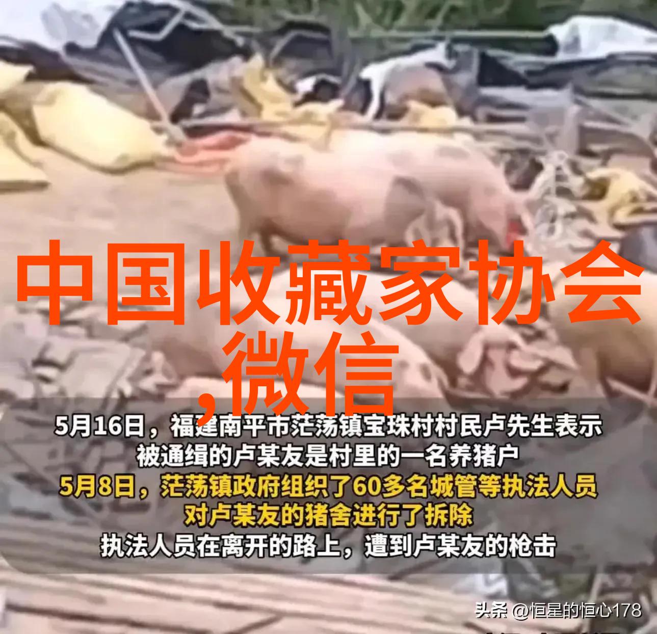 今日蚂蚁庄园小课堂答案详解生态系统中的角色探讨