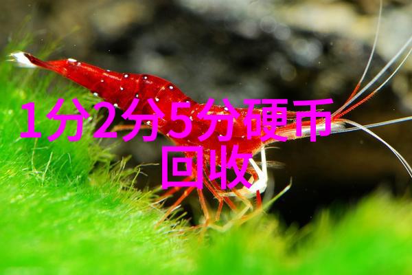 疫情后首选全球各地最佳旅游目的地指南