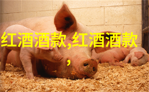 葡萄酒的文化起源 - 从古希腊到罗马的醇香传承