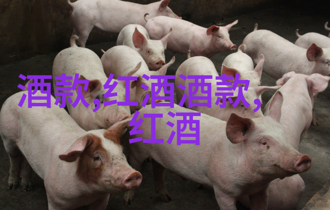 德国啤酒店里的温暖小确幸德式慢火烹调流程解析
