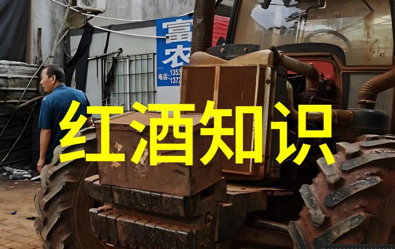 家庭友好型宠物了解和照顾室内猫类动物