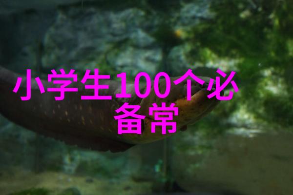 红星照耀中国英雄事迹中国伟大人物的光辉历程