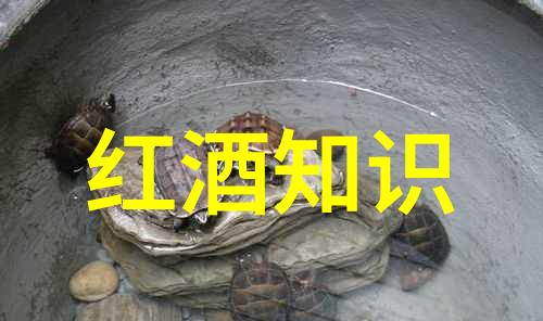 访谈专家圆明园的复原工作及其挑战和进展分析