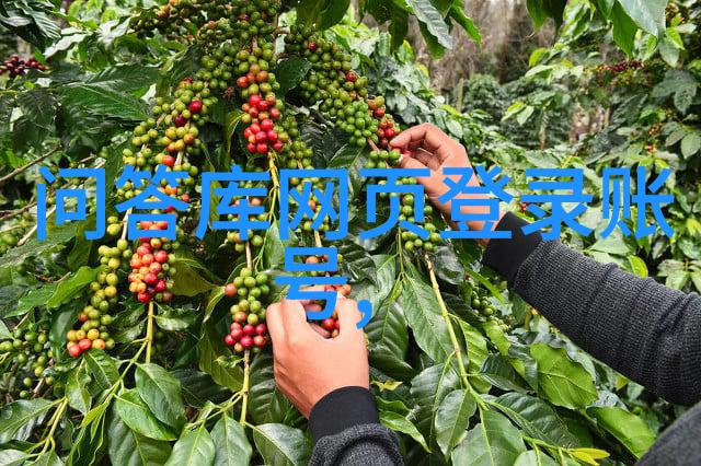 潘家园5元捡漏奇缘3亿财富的意外发现