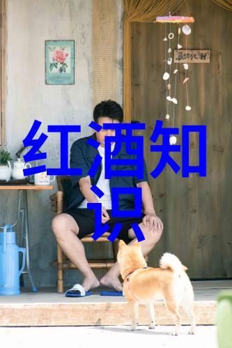 国际合作主题纸币跨国文化交流背后的财富增值故事