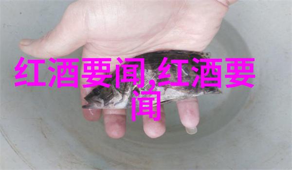 文物鉴定费用标准解析揭秘保护文化遗产的经济成本