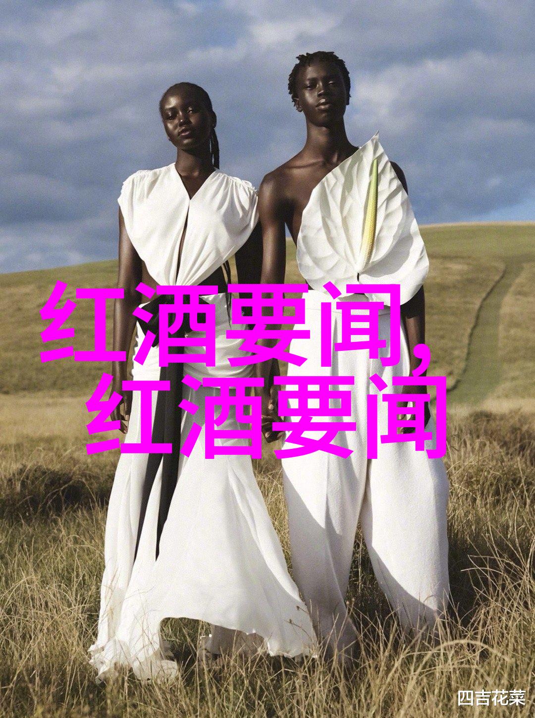 葡萄之梦探索condasavel红酒的精髓