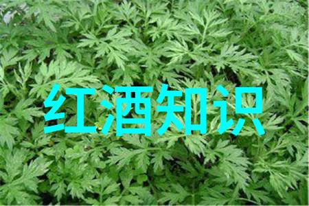 墨点倾城我曾在一幅画卷上留下了无数的墨点