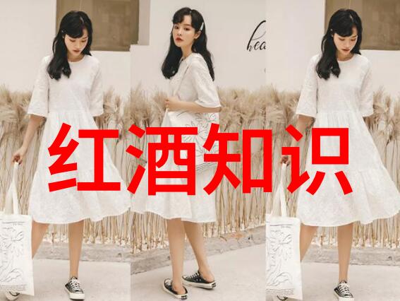 时尚界新星解析那些令人着迷的人物写真风格