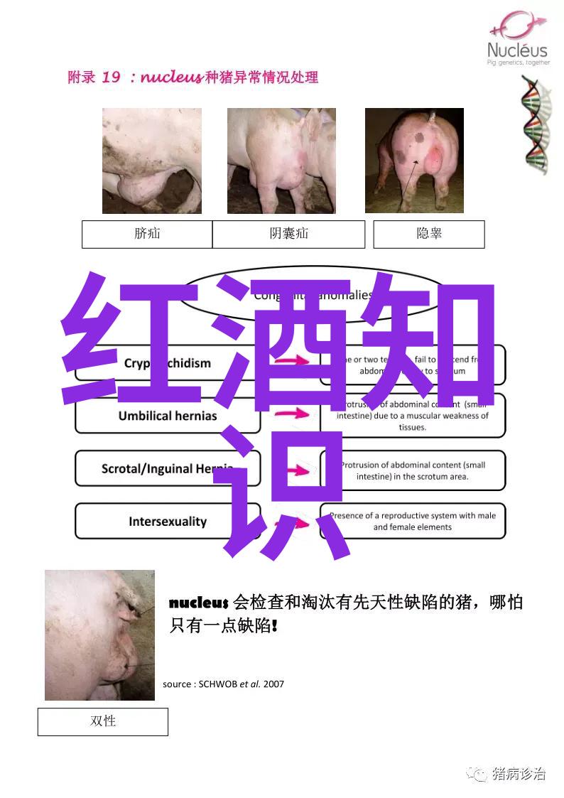葡萄酒之谜醉心于古老的味道与传统