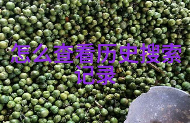 周边游玩热点探索城市周边的秘密宝藏之地