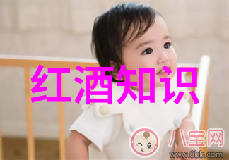 玉米种植-探索丰收的多样性世界上各种各样的玉米品种