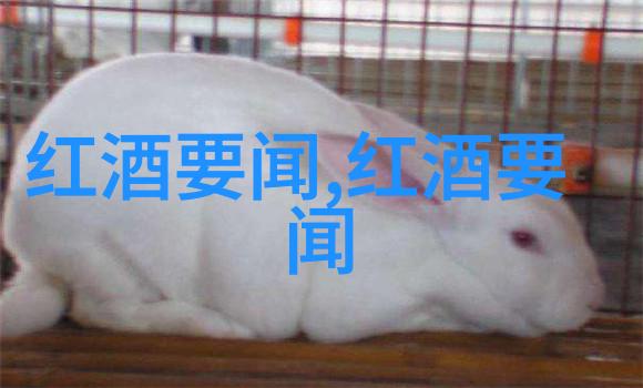 恋上瘾爱情的迷幻世界