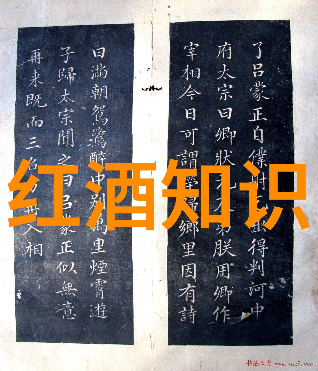 智能对话探索问答app的无限可能