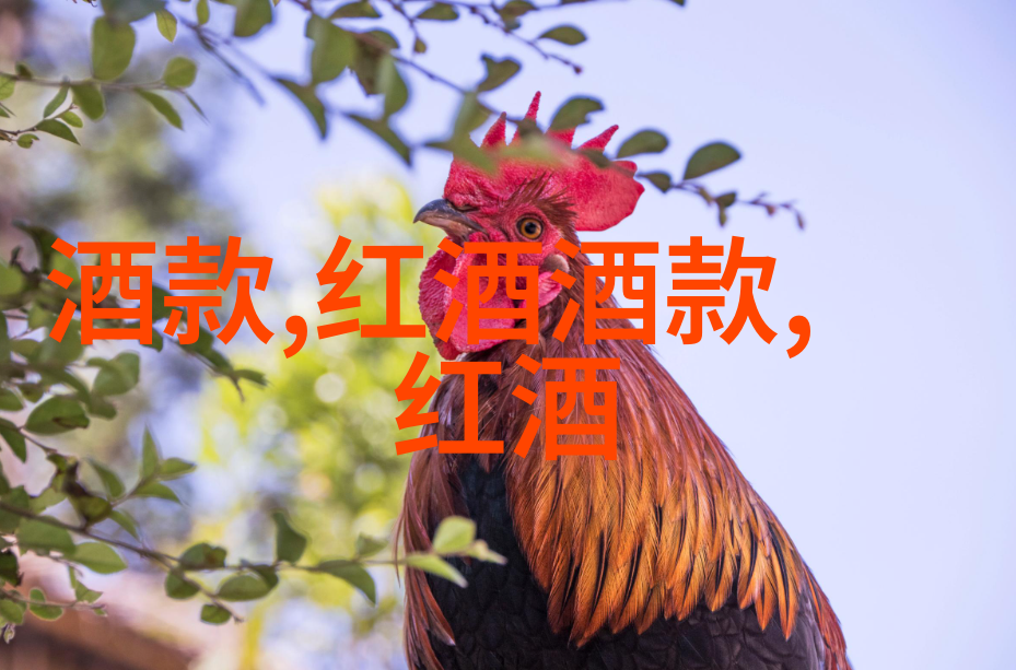 乌镇迷雾探秘古镇自由行指南