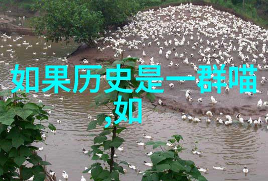 这附近有什么好玩的旅游景点探索周边美食与奇迹一日游必去地