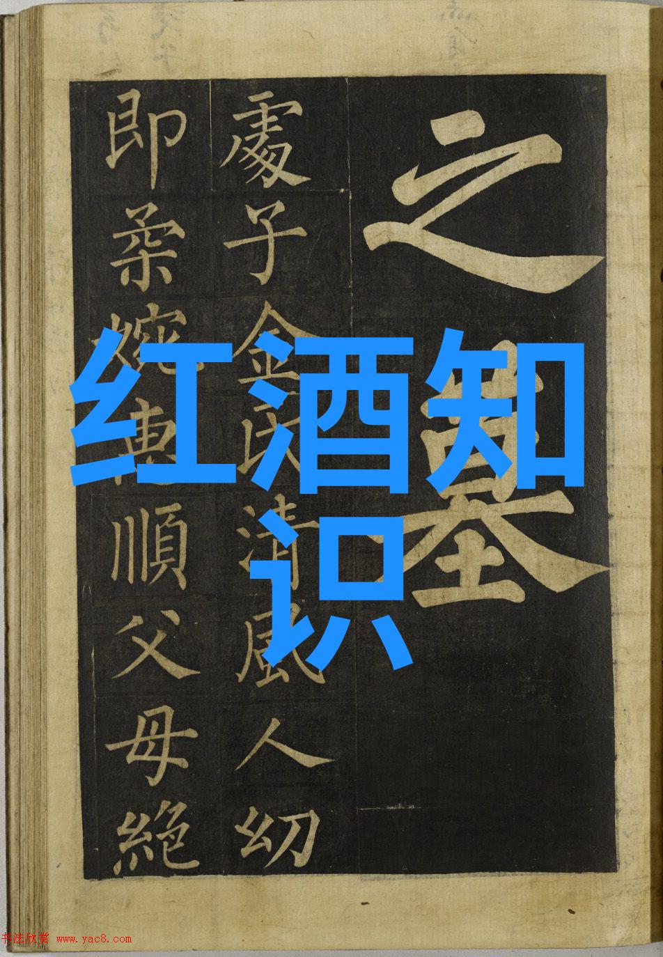 世界葡萄酒文化我与葡萄酒的故事一场味蕾上的旅行