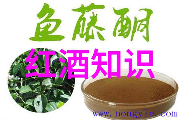 金黄玉米的多姿多彩探索这个古老作物的现代变体