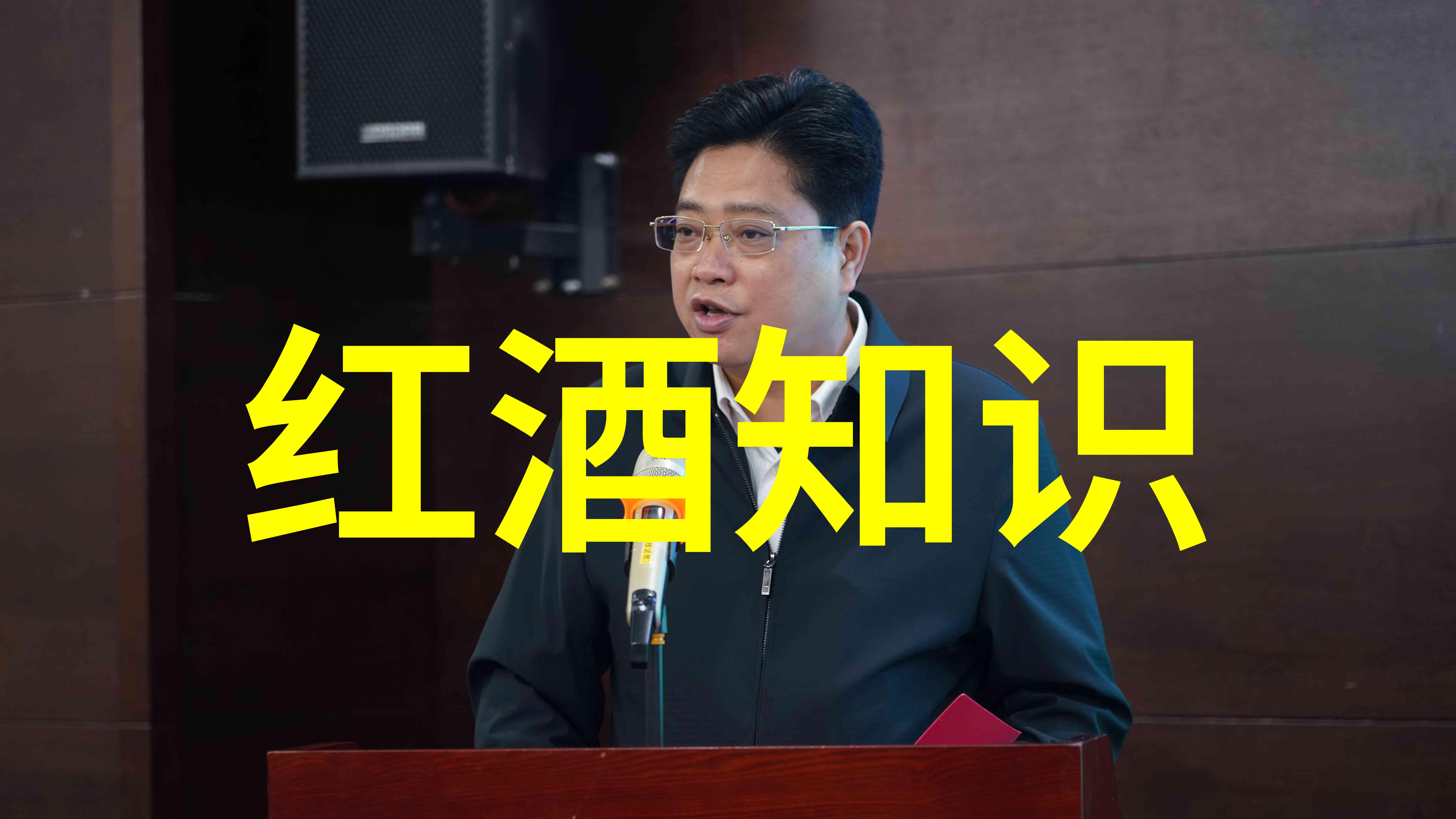 了解猫咪特性哪些高智能品种能与主人互动