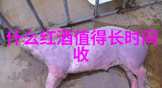 红灯区下的白大褂免费问诊妇科的双重面纱