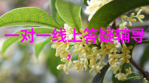 他们是怎样通过教育文化等领域促进社会发展的呢