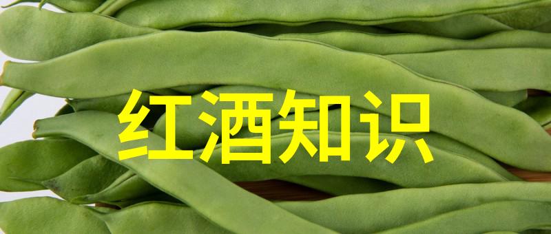 公交车6人轮换的观察与思考