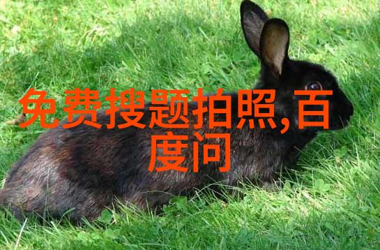 长期下来持续参与问卷调查会对个人信息安全造成影响吗