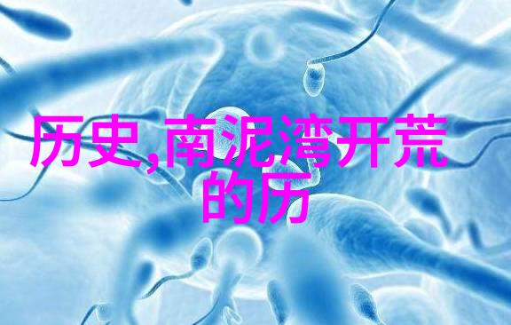 传统农业管理方式与现代化技术在黄河地区的应用情况如何