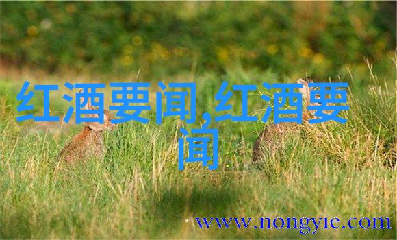 百度答主的征途揭秘成为知者之路