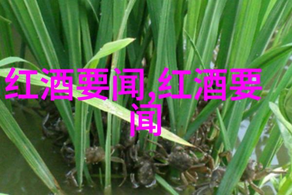 云南红酒庄园简介卓林的醉人葡萄之恋