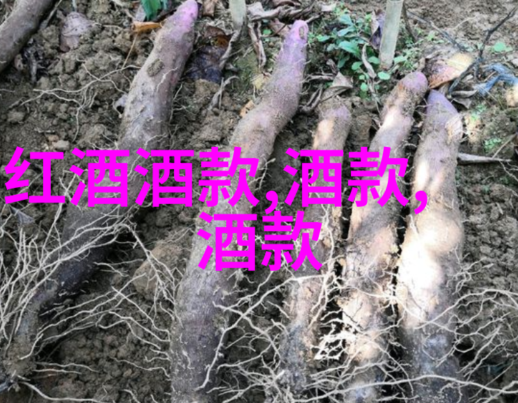 巴斯克酒庄唐顿庄园情感葡萄酒图