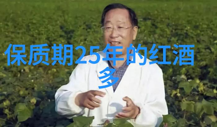 从源头治愈深入分析并解决 2022 浪 Romantic Manor 中的问题