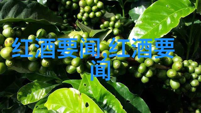 用户教育对促进健康发展的重要性讲述一个成功案例故事