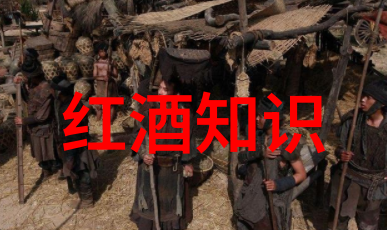 喵我的猫咪大友们一本不仅有图片的猫种类大全