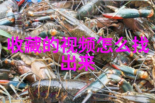 B站UP主收藏视频优质的Bilibili创作者收集精彩内容