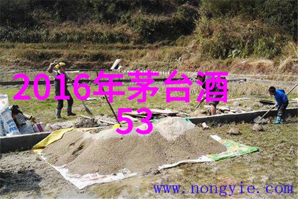 花漾美少女卡通人物的多彩形象设计