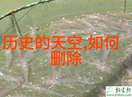 东莞十大免费景区之旅茭白如何助力解酒